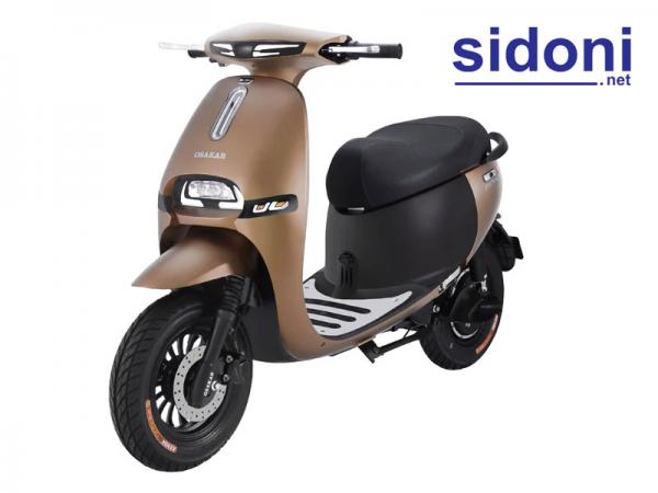 Xe máy điện GOGO FIONA đồng