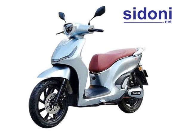 Xe máy điện TAILG T61