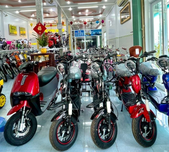 Đại lý ủy quyền Trần Thêm đã trưng bày những mẫu xe điện của nhiều hãng khác nhau