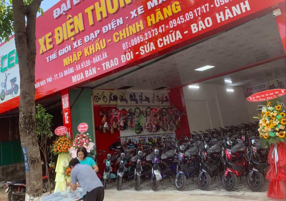 Tất cả những chiếc xe điện tại đây đều có giấy kiểm định đi kèm