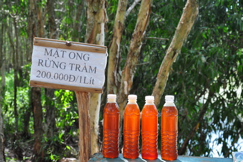 Đặc sản mật ong rừng tràm