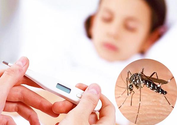 Hãy chủ động phòng tránh để bảo vệ bản thân khỏi sốt xuất huyết