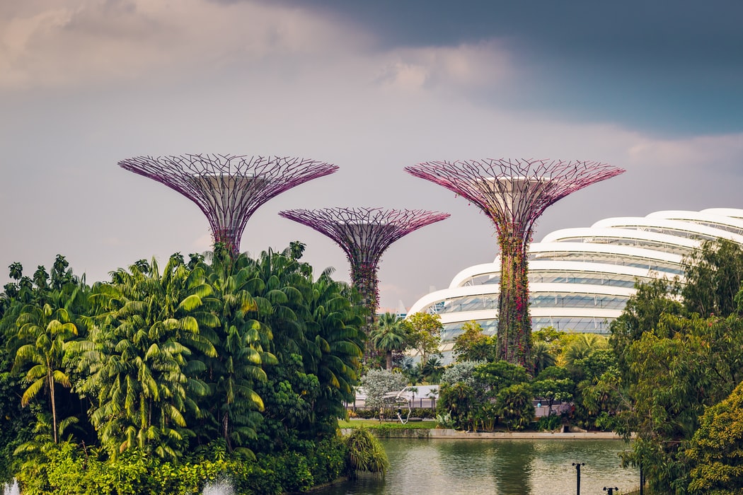 Gardens By The Bay là nơi dừng chân hấp dẫn với ai yêu thiên nhiên