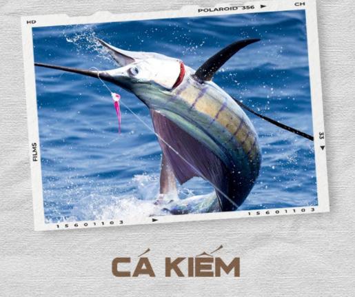 Cá kiếm chế biến các món ăn rất ngon