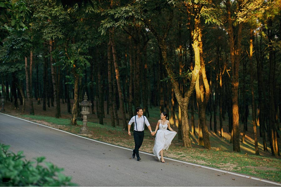Một điểm đến khác không thể bỏ qua khi du lịch Hà Nội là Rừng thông Ba Vì