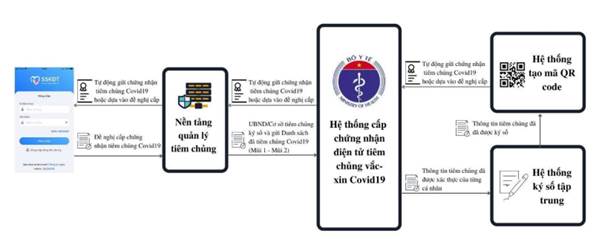 Quy trình minh họa các bước cấp “ Hộ chiếu vaccine”