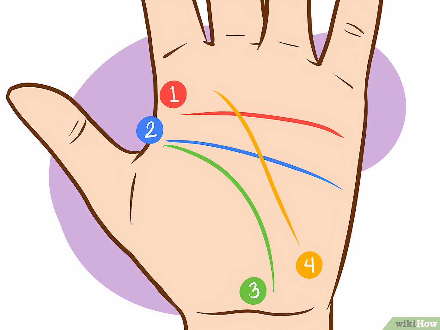 Chỉ tay có 4 đường chính