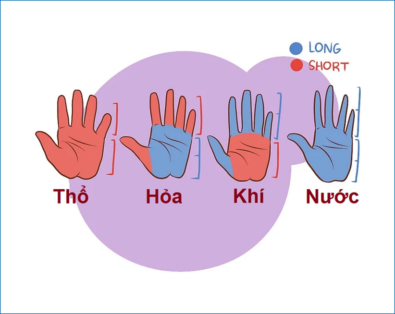 Có 4 kiểu hình dáng bàn tay