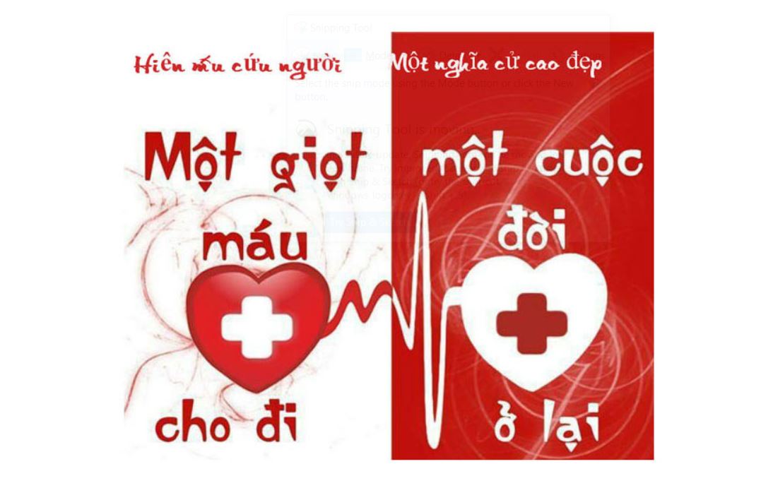 Hiến máu tình nguyện là một hành động rất ý nghĩa