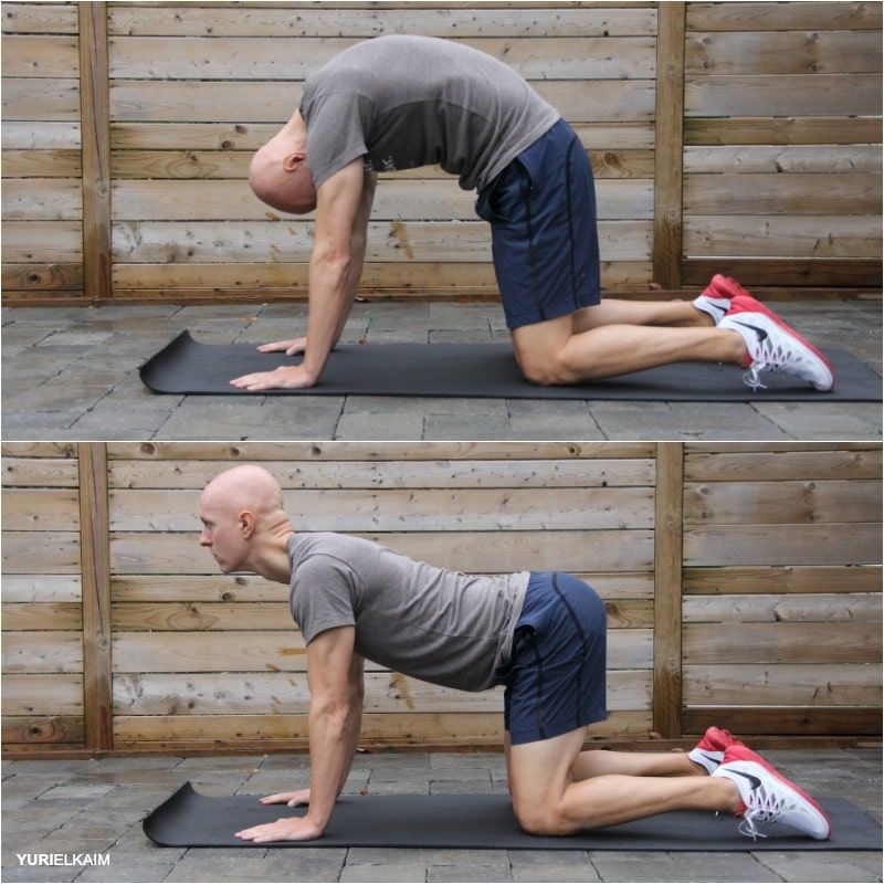Bài tập yoga tư thế con mèo - bò, Cat - Cow pose