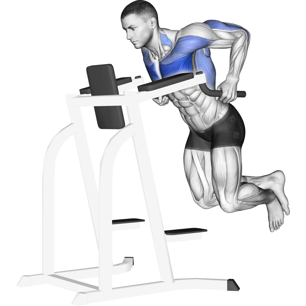 Bài tập Chest Dips
