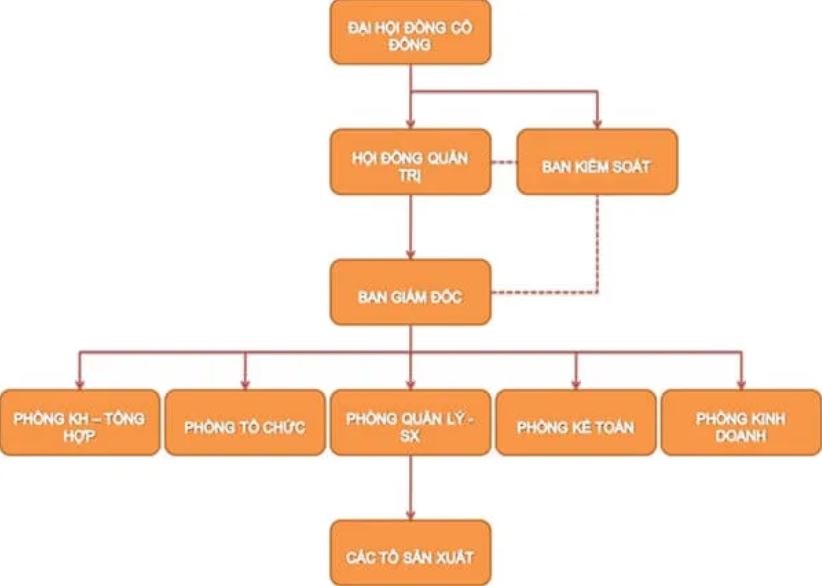 Sơ đồ mô hình bộ máy tổ chức công ty cổ phần