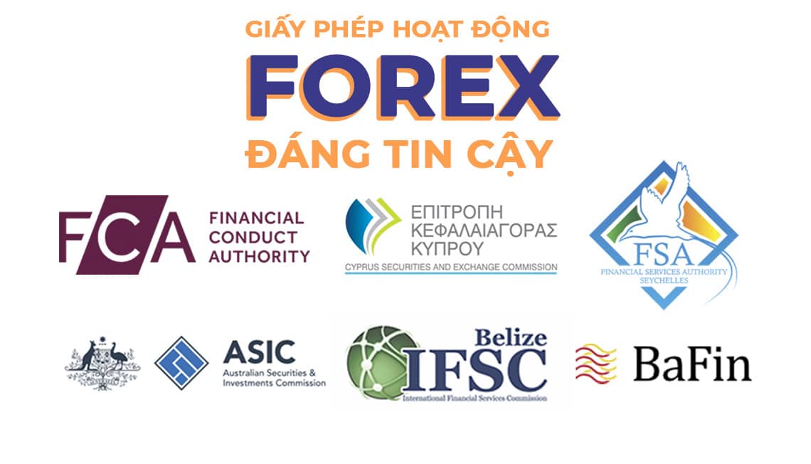 Việc tra cứu giấy phép online rất nhanh chóng và bạn có thể làm ngay tại nhà