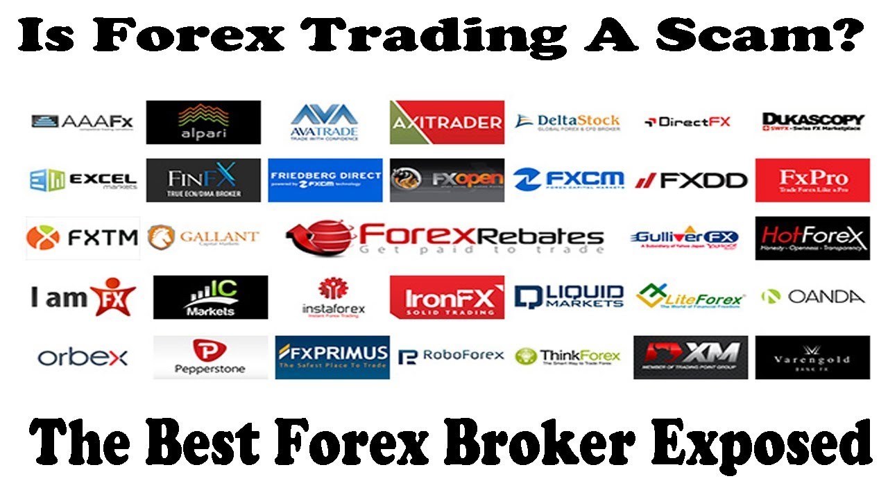 Hiện nay, có vô vàn sàn giao dịch Forex đang hoạt động