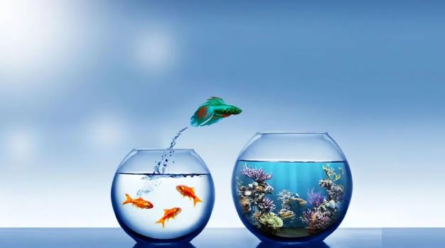 Định luật này giống như bạn đã đạt đến cấp độ cao hơn và môi trường hiện tại không thể giúp bạn phát triển hơn nữa