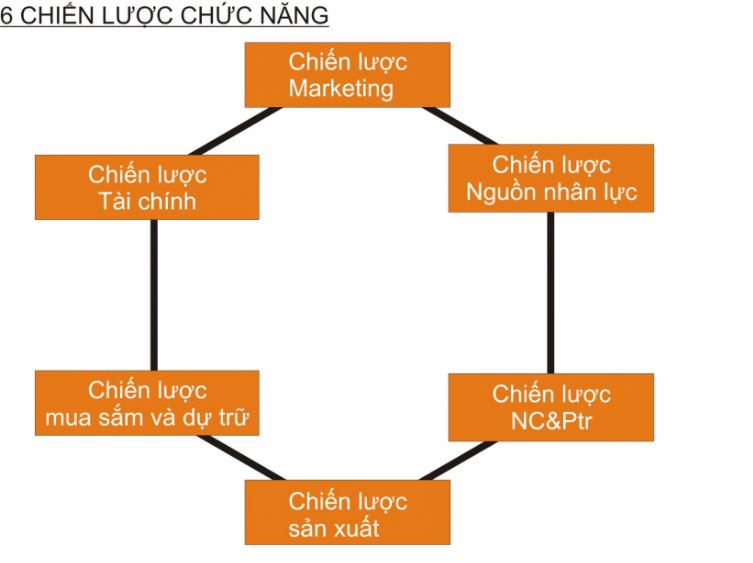Chiến lược chức năng kinh doanh được sử dụng cụ thể cho từng đơn vị, bộ phận với những mục tiêu khác nhau