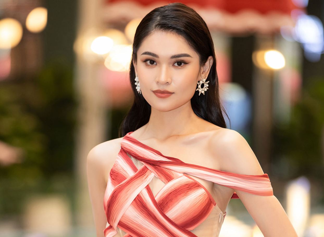 Tiểu sử Thùy Dung từng theo học Đại học Ngoại Thương