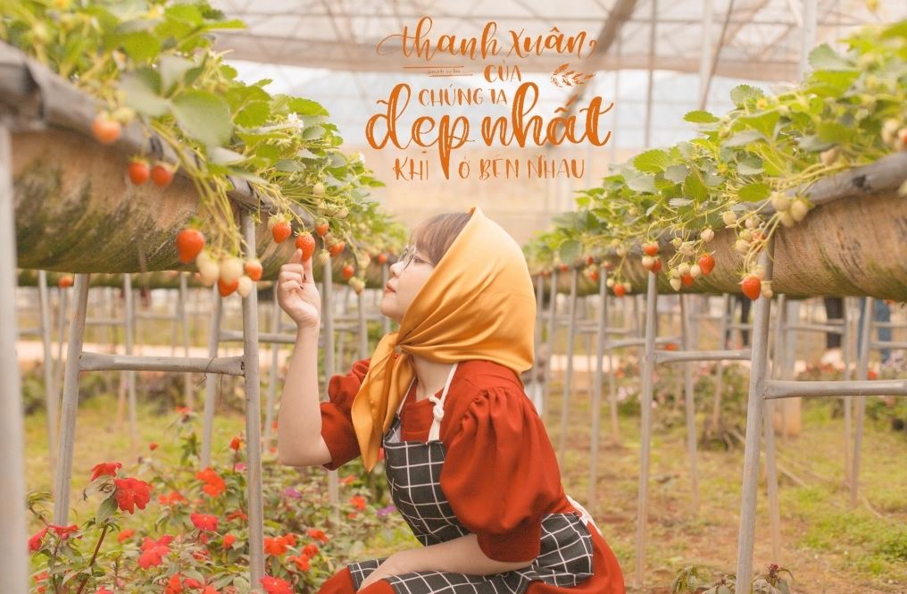 Địa chỉ các vườn dâu đẹp mê lòng người