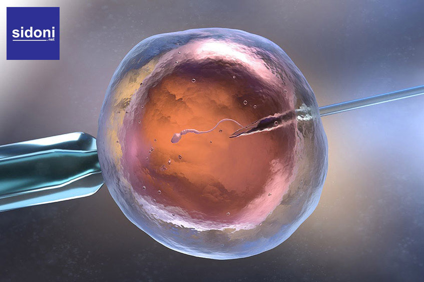 Thụ tinh trong ống nghiệm (IVF) là gì? Quy trình thực hiện IVF