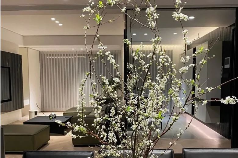 Đặc điểm của hoa tuyết mai: Vẻ đẹp tinh khiết và đặc trưng nổi bật