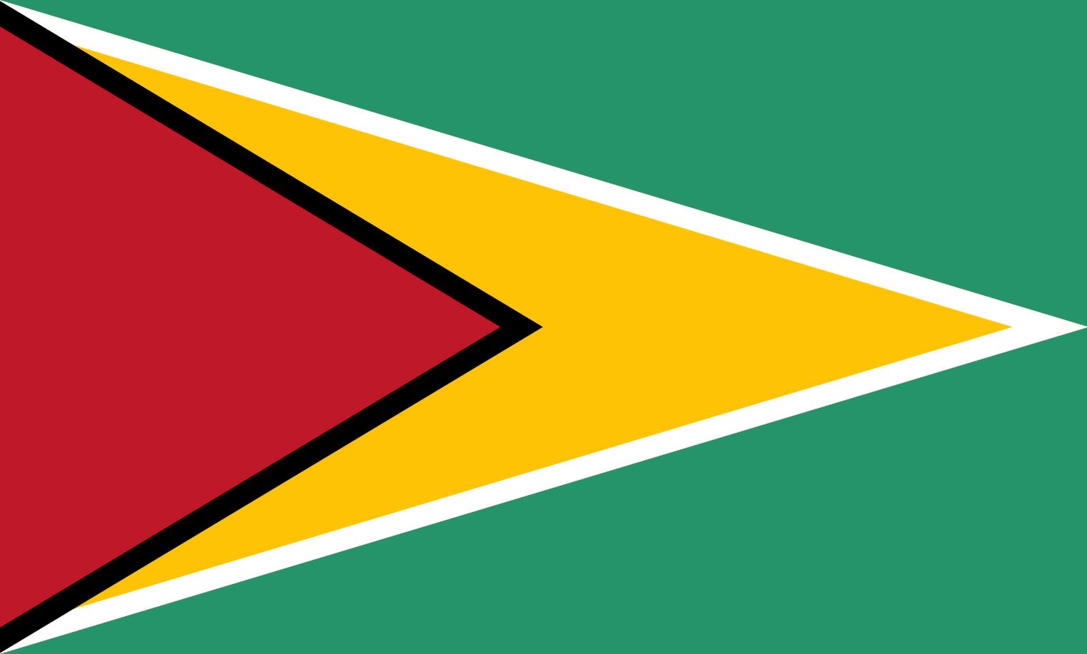 Ý nghĩa cờ Guyana tượng trưng cho sự hòa hợp giữa thiên nhiên, lịch sử và tiềm năng phát triển