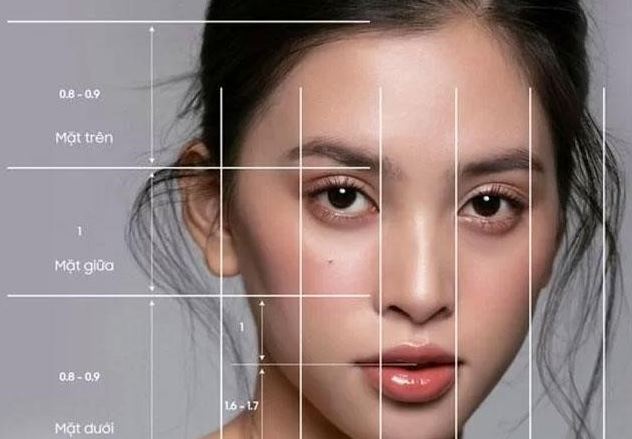 Theo nhân tướng học thì ngũ quan bao gồm: Mắt, tai, mũi, miệng và lông mày