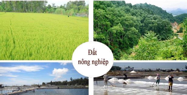 Đất nông nghiệp là loại đất sản xuất với mục đích nông nghiệp