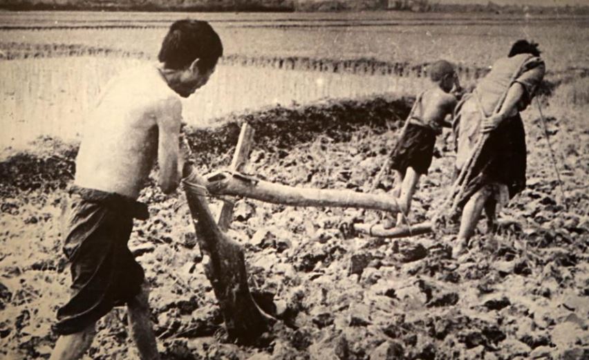 Nông là tầng lớp nông dân trực tiếp tạo ra của cải vật chất trong quá trình làm việc