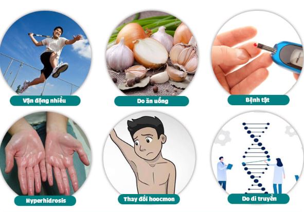 Nguyên nhân gây ra mùi hôi phát ra từ cơ thể con người